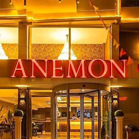Anemon Uşak